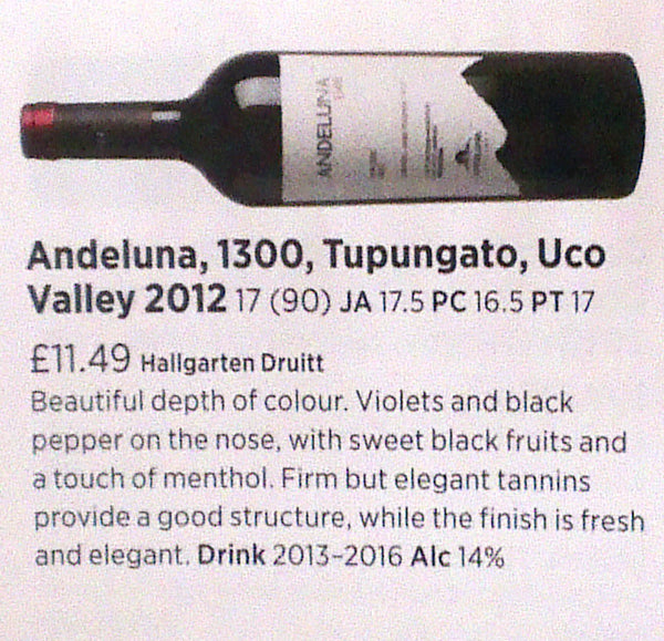 Andeluna '1300' Malbec 2013